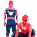 Supply Lycra Spandex Unisex Spiderman Zentai Costume