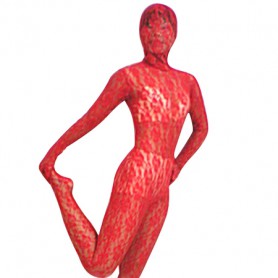 Red Transparent Lace Velour Zentai Suit